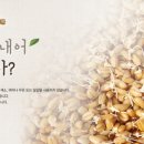 시골생활건강식품