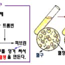 질환별 정상수치 기준표 이미지