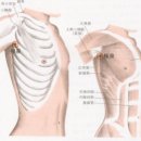 15. 수소음심경(1) 이미지