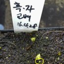 청수정가든 이미지