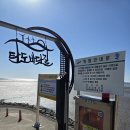 탄도항 바닷길과 제부도 낙조 후기