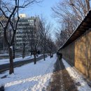 용산-현장-605 | 주간일기(0202-0208) 팝마트 리셀러 도전?, 원가분석 제로비 꼬기밥 사봄, 또띠아 밀프렙