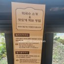 정족리동치미막국수 이미지