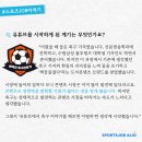 새벽의축구전문가