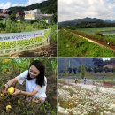 마금산온천 이미지