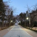 현대파크빌 옆 이미지