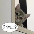 라쿵푸마라탕(각산점)