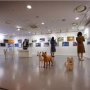 우정진도개 이미지