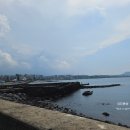 샛도리물 이미지