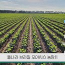 이상근농장 이미지