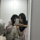 이얼싼 이미지
