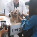 구민동물병원 이미지