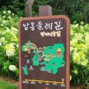 함께나눔길 | 인천 만수산 무장애나눔길 누구나 함께 걸을 수 있는 데크로드 길 산책 후기