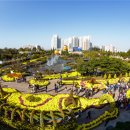 회원동225 이미지