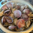 광천로273번길 | 서해안 당일치기 여행 / 11월 천북굴단지 해당화굴수산 남당케렌시아 카페 남당노을전망대