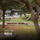 옥포동 888-5일원 | 강진 백련사 동백나무숲 가볼만한 사찰 여행 추천