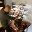 나무안에서 이미지