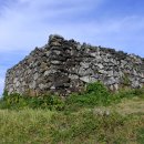 협자연대 이미지