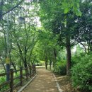 초록숲공원 이미지