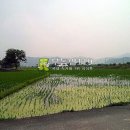 삼천리농장 이미지