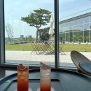 동일카경정비 | 우리가족 첫 전기차, 기아 EV3 에어 스탠다드 출고, 내돈내산