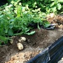 율곡 농장 이미지