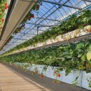 유봉2농장 이미지