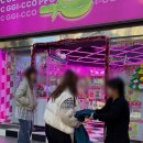 찌꼬뽀꼬 대전점 이미지