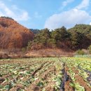 서석식당 이미지