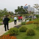 원예예술촌 뉴스엔