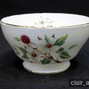 도그 블라썸 이미지