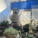 연안생태찌개 이미지