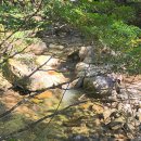 용추농원 | 📍 문경 가을꽃｜문희농원 보랏빛 개미취 꽃밭 무료 개방 후기