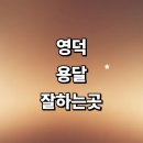 상원리 영덕LPG충전소 | 영덕군 근처 화물용달 잘하는곳 추천 용달이사 전문업체 소형 침대 퀵서비스 가격 라보용달 렌트 견적 후기