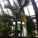 대연수목전시원 이미지