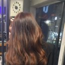 머리잘하는집 이미지