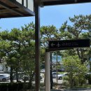 호텔감귤향기 | 1일1관광 필수인 엄마랑 2박3일 제주도 자유여행 1편 (용두암,숙성도,오리엔탈호텔,동문시장)