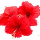 여신뷰티 이미지