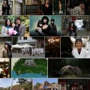 주민이들려주는 영화 | 영화: 베스트셀러 (Bestseller)정보 줄거리, 결말,추천 이유,감상평