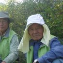 중원-79 Daum카페