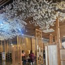 스시소담 이미지