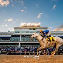 페가수스 이미지