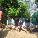 대전대문초등학교 이미지