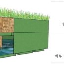 청운중학교 아시아경제