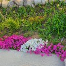 백봉호텔 이미지