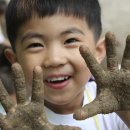 안의어린이집 이미지