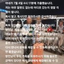 문신한 베트남 젊은 여성과 국제결혼했던 '포항 아재' 틱톡 근황 이미지