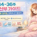 파수식품 | 임신 34~36주 증상과 대처법 완전 정리 | 36주차 초산맘 현실 후기 + 조산 징후 과학적 근거와 대처법