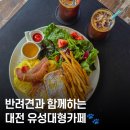 엑스포로1 | 탑립커피 리뷰│대전 애견동반카페에서 브런치까지!💛