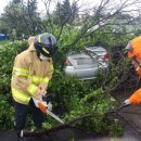 서호동-52 이미지